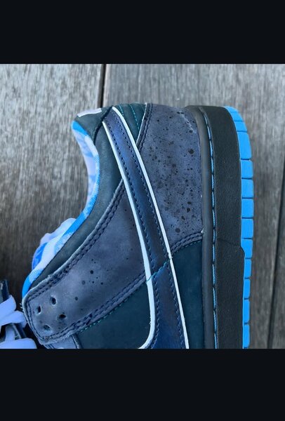 Lobster Nike SB dunks