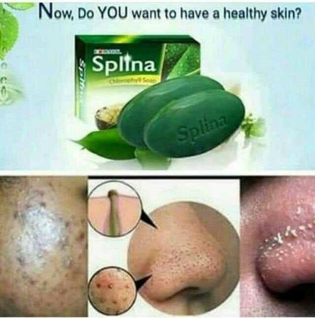 Savon Chlorophylle Splina - Soin Visage Anti-Boutons et Imperfections