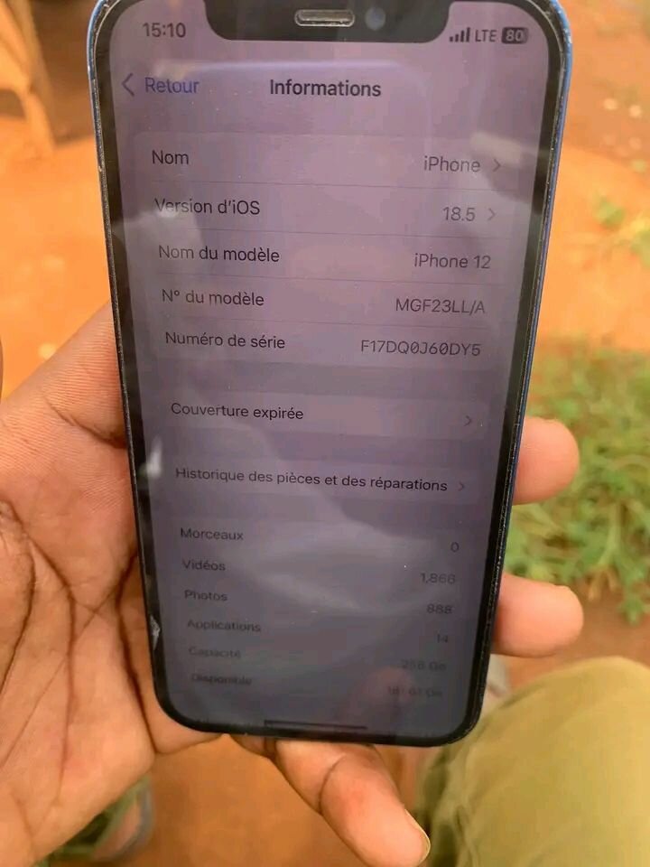 iPhone 12 256Go Bleu