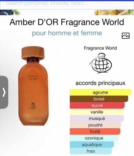 Parfum Amber D'OR Unisexe