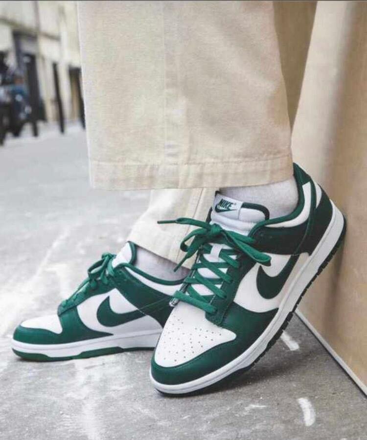 NIKE AIRFORCE DUNK LOW COLOR ON COLOR