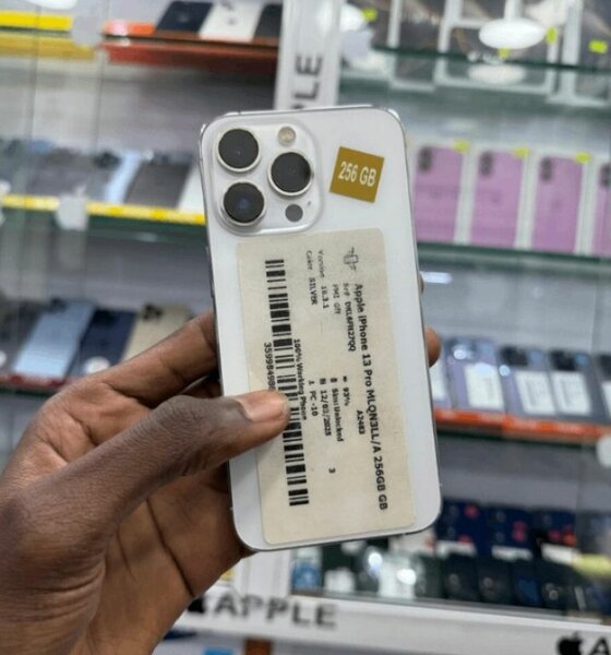 Smartphone 256 Go Haut de Gamme