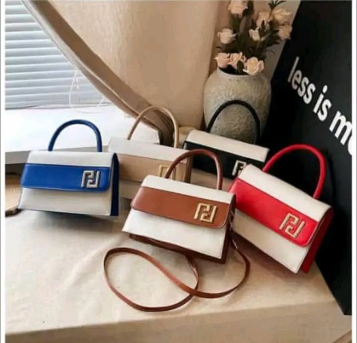 Sac à main élégant femme