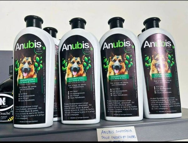 Shampooing Chien Anubis