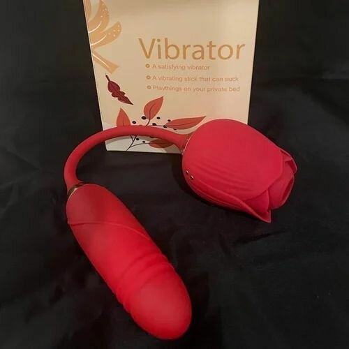 Œuf Vibrant Télécommandé