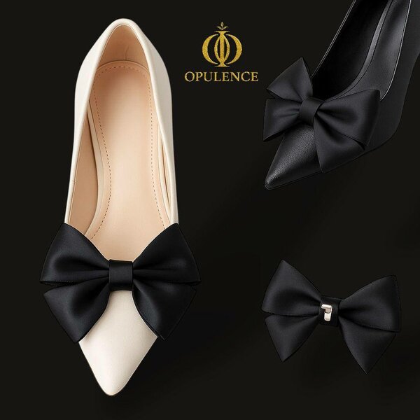 Broches pour chaussures