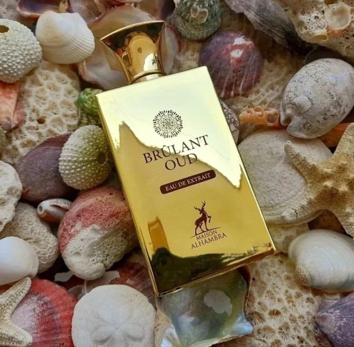 Brulant Oud