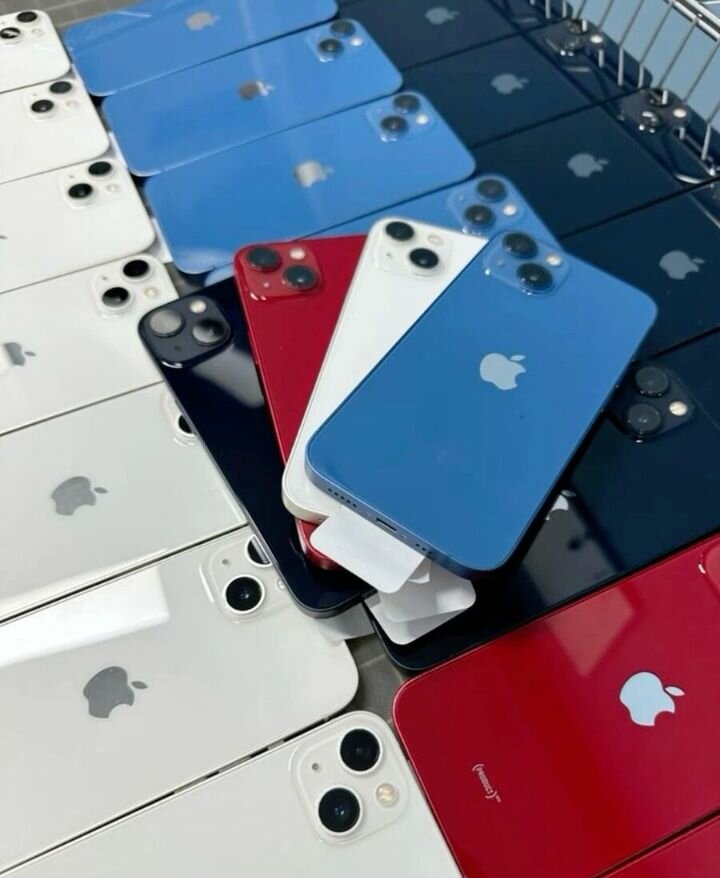 iPhone 13 - Couleurs Variées
