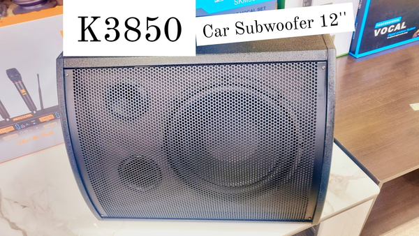  Car subwoofer