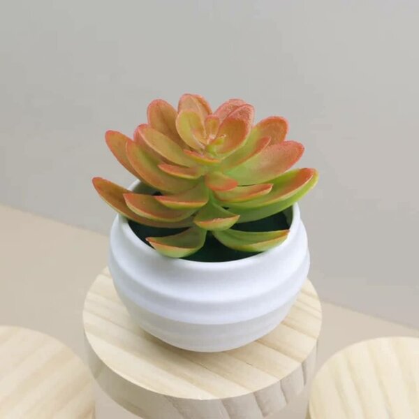 Mini Plantes Succulentes Artificielles