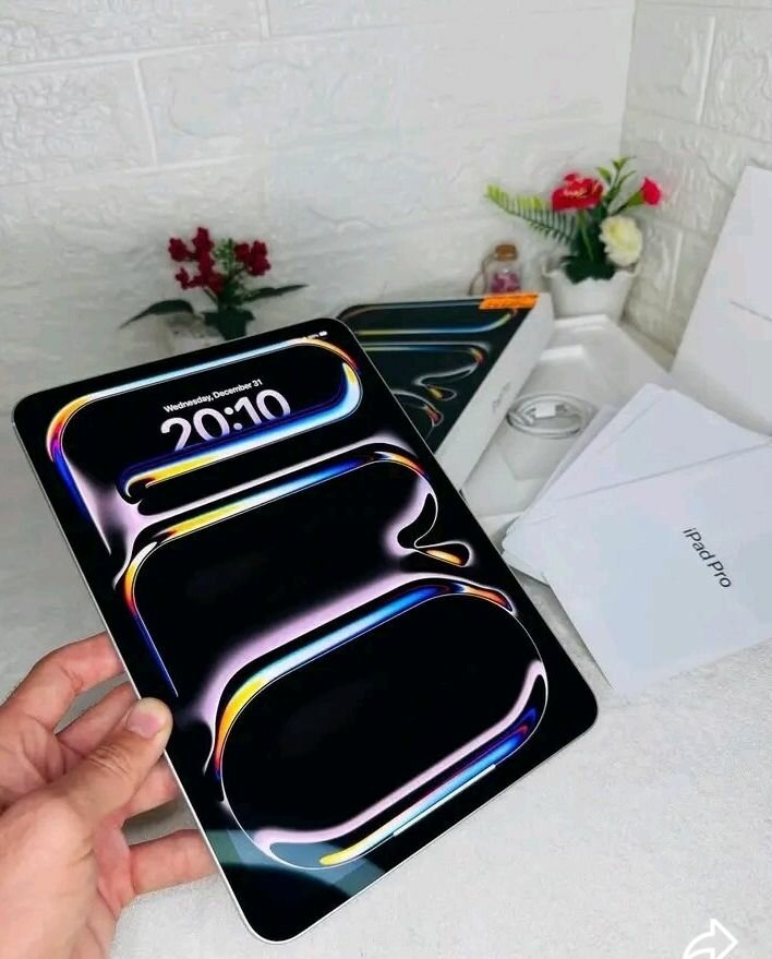 Apple iPad Pro argent