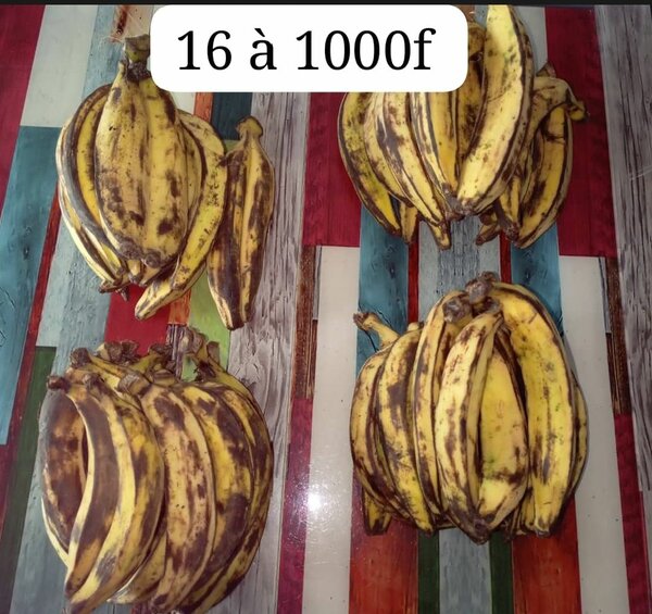 Plantains mûrs de qualité