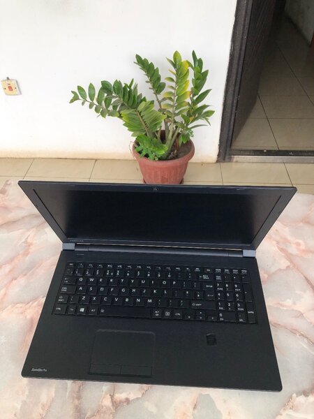 Toshiba Satellite Pro R50-B-12