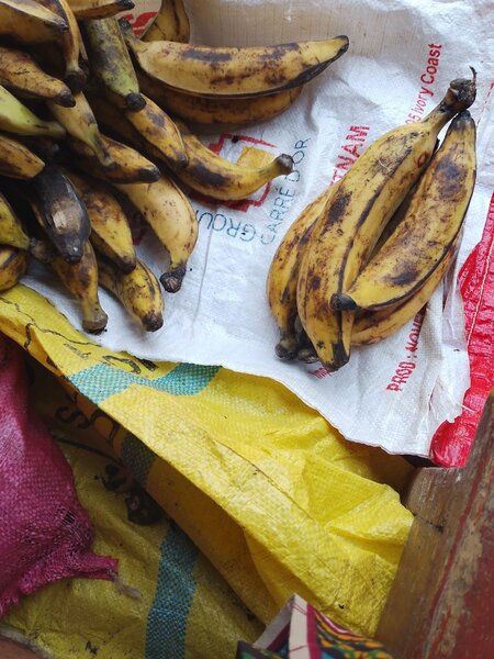 Banane plantain fraîche