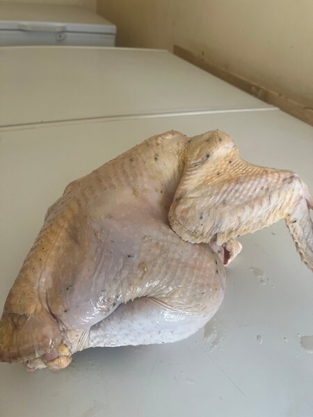 Dindon entier Africain