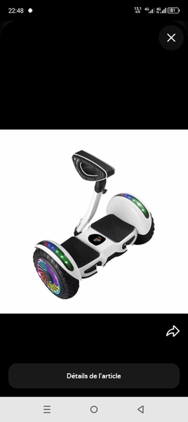 Hoverboard électrique tout-terrain