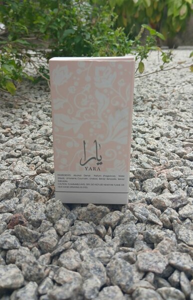 Parfum Yara pour Femme