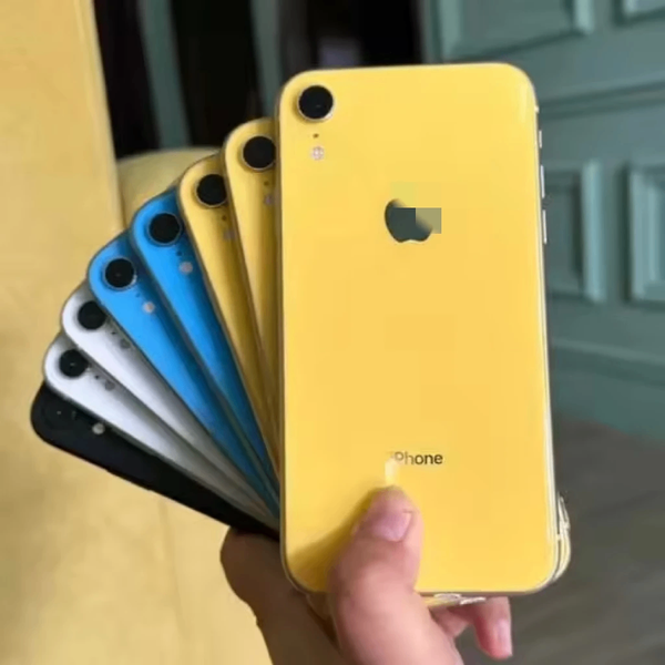 iPhone XR Reconditionné - Plusieurs Couleurs
