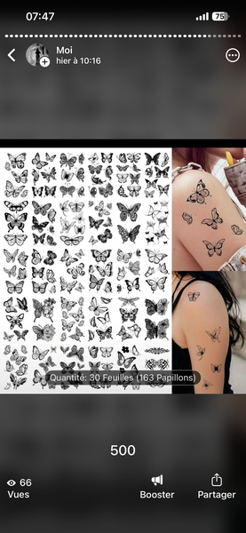 Tatouages Temporaires Fleur et Papillon