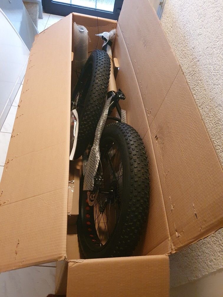 Vélo électrique Fat Bike