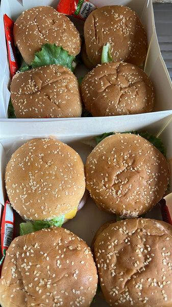 Delicious Burger Box(10)
