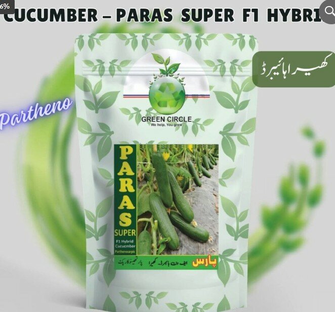 Paras Super F1 Hybrid Partheno Cucumber