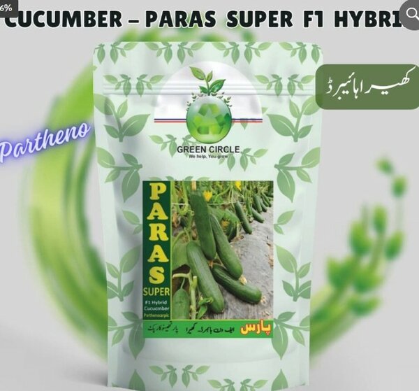 Paras Super F1 Hybrid Partheno Cucumber