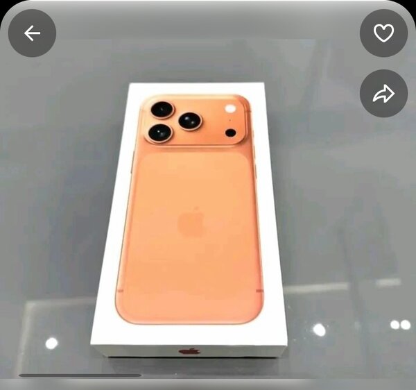 iPhone 13 Rose