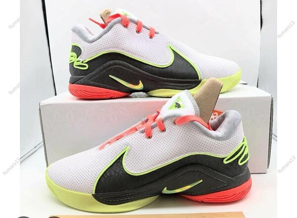 BASKETBALL LEBRON 22