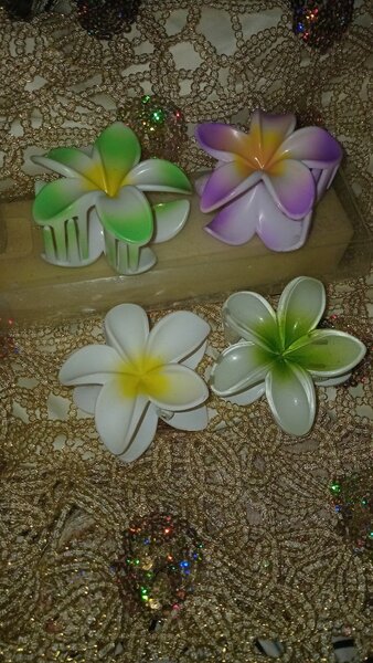 Pinces à cheveux fleurs tropicales