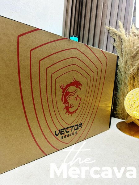 Ordinateur MSI Vector Gaming