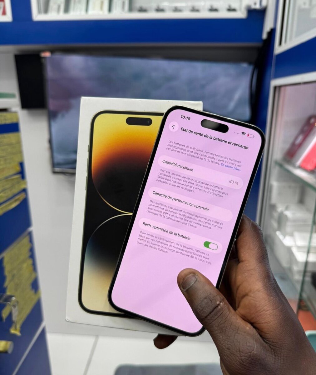 iPhone 14 Pro Max 256GB Argent