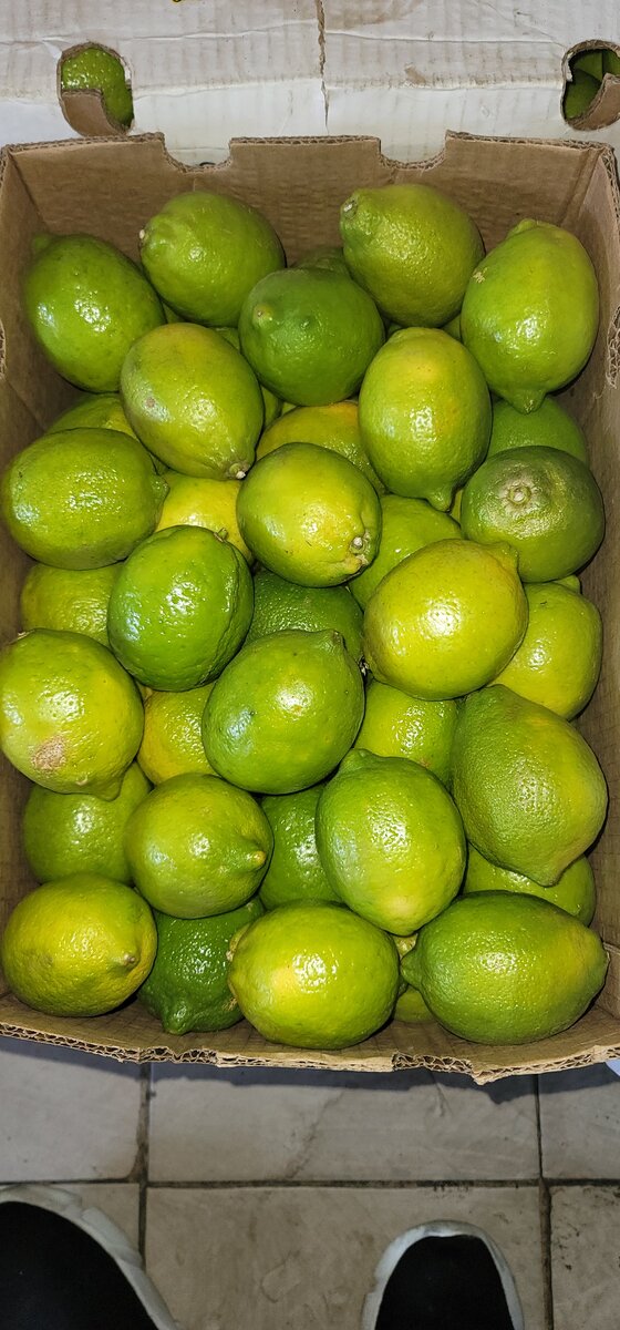 Lime Lemon