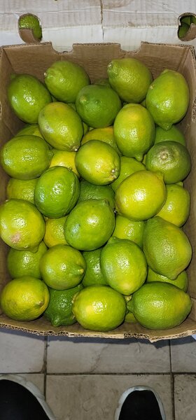 Lime Lemon