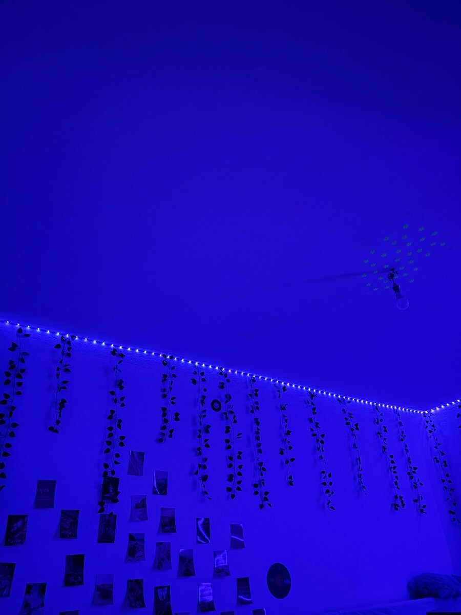 Guirlandes LED Décoratives