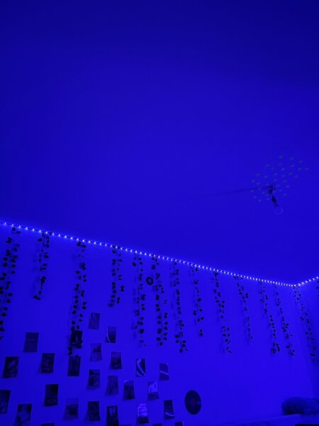 Guirlandes LED Décoratives