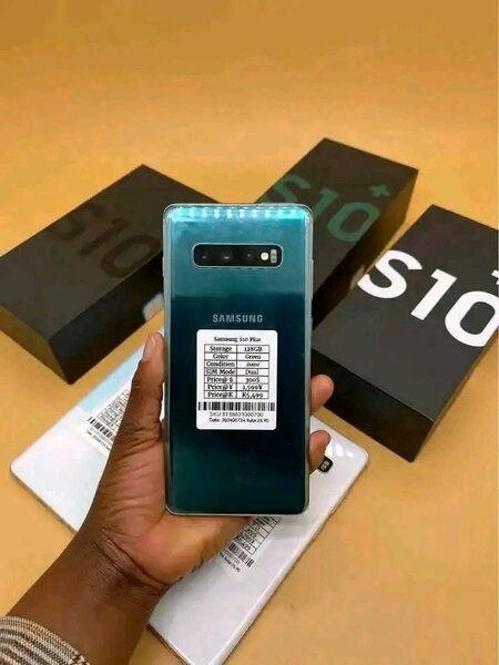 Samsung Galaxy S10+ Bleu