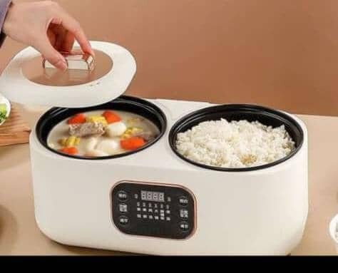 2in1 rice cooker