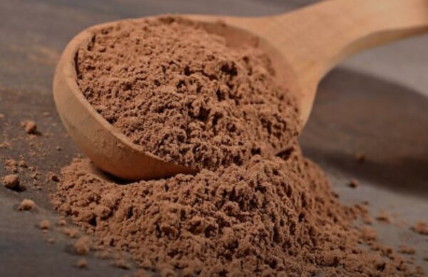 Poudre de cacao bio