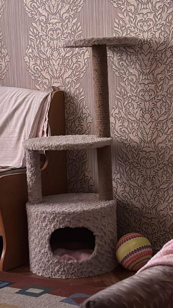 Pets home plus table