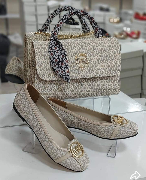 Ensemble Sac et Ballerines Chic