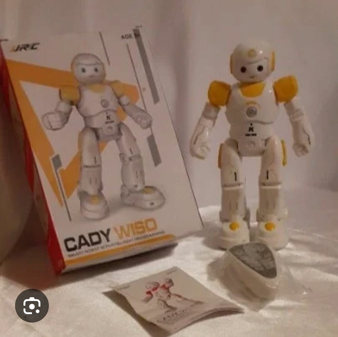 Robot intelligent Cady Wiso