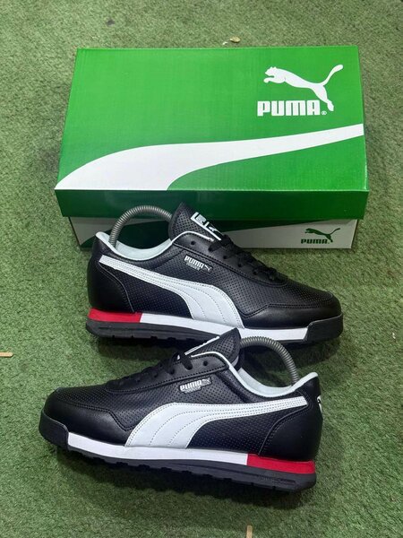 Chaussure Puma homme