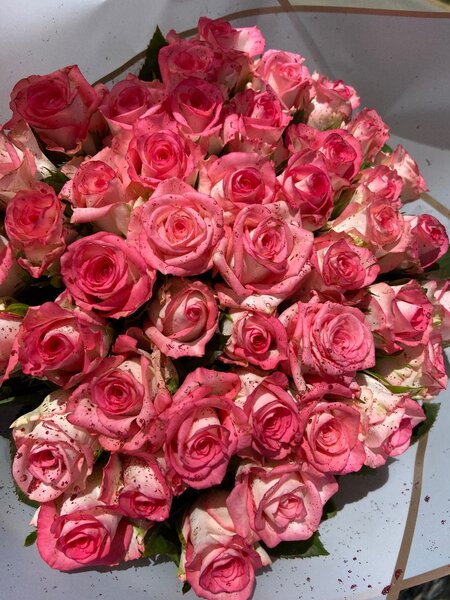 Roses for Valentines day