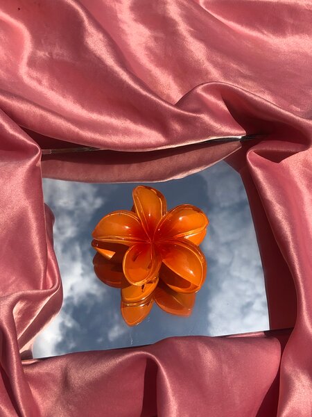 Barrettes + ÉLASTIQUES OFFERT