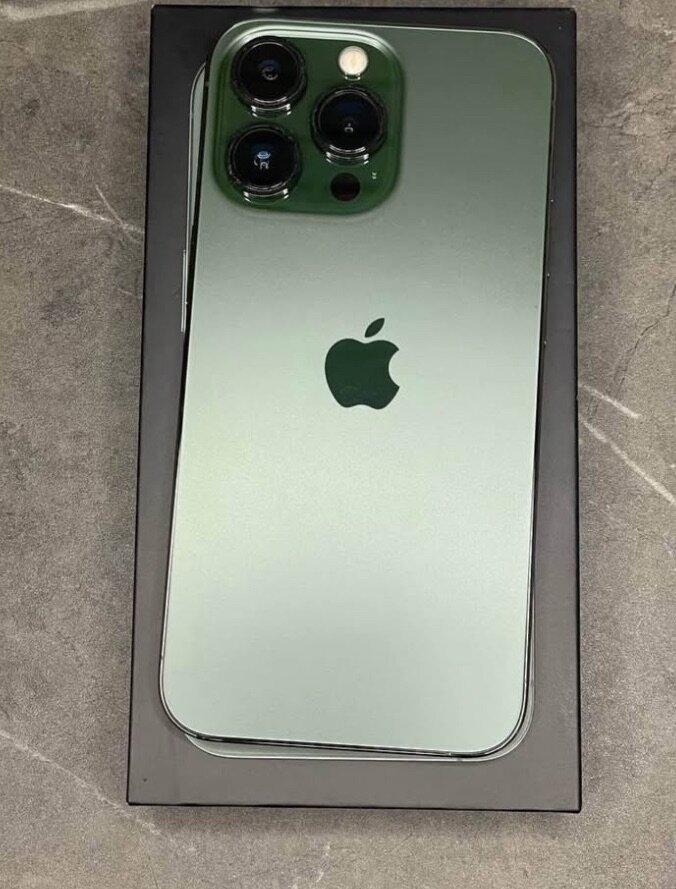 13 pro  haut de gamme vert