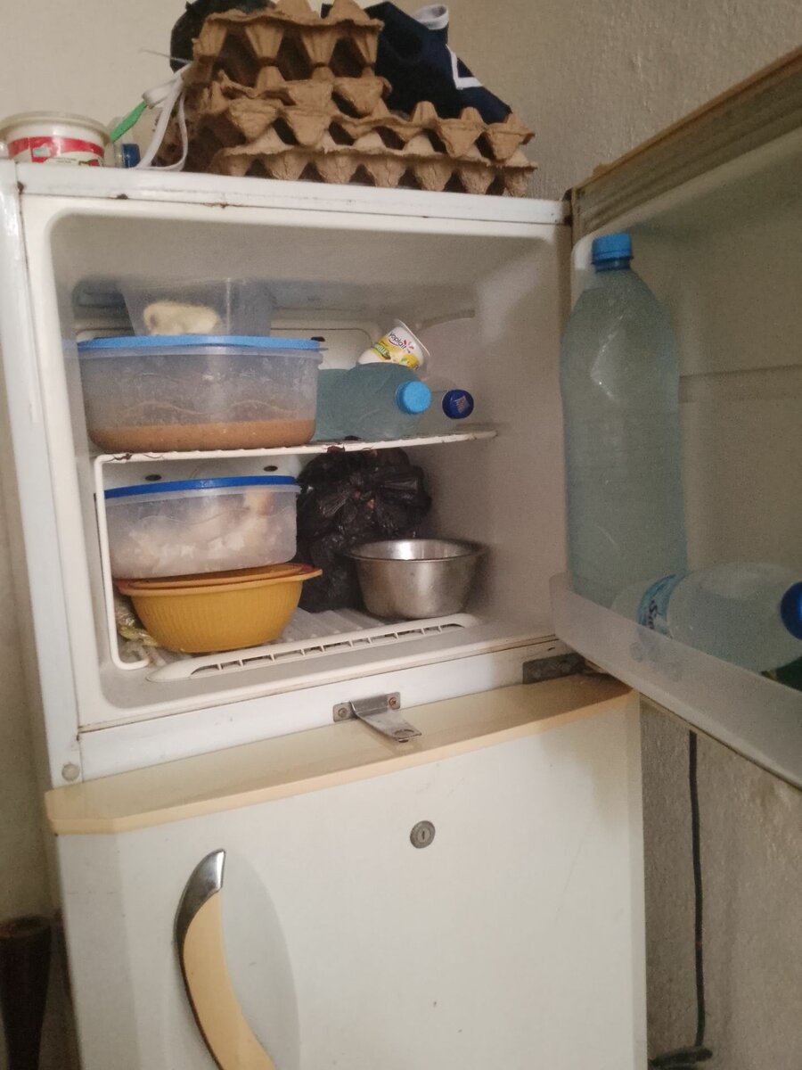 Frigo LG