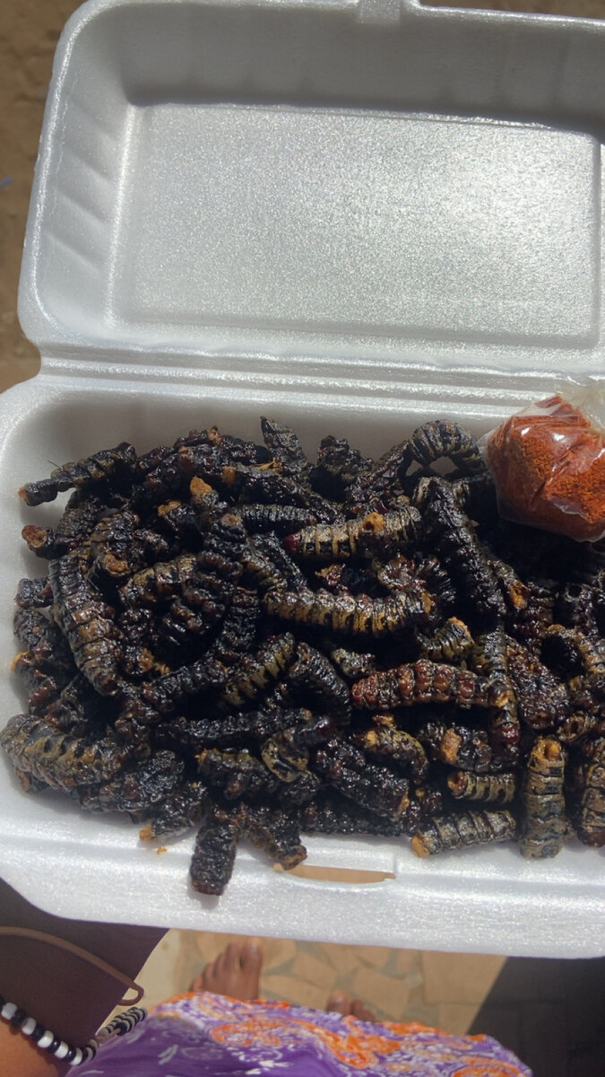 Chenilles sauté et grillé