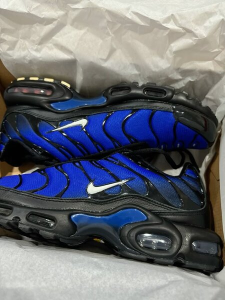 Baskets Air Max pour hommes