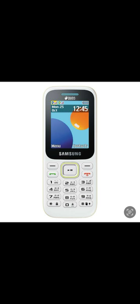 Portable Samsung B315e blanc